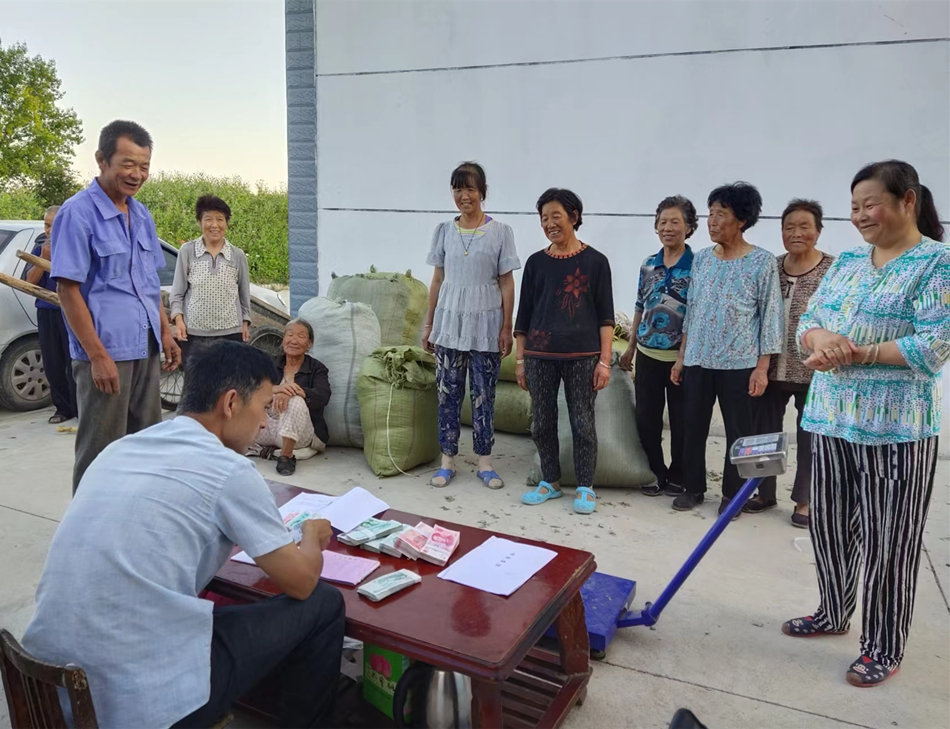 975d2ad3e5fbba5a505a366047ed7d31_