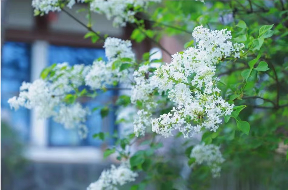 微信图片_202304280909161