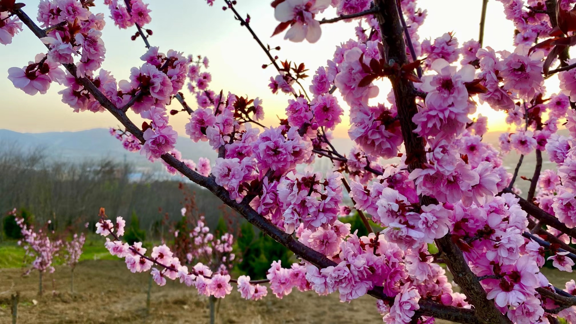 微信图片_20240320165548