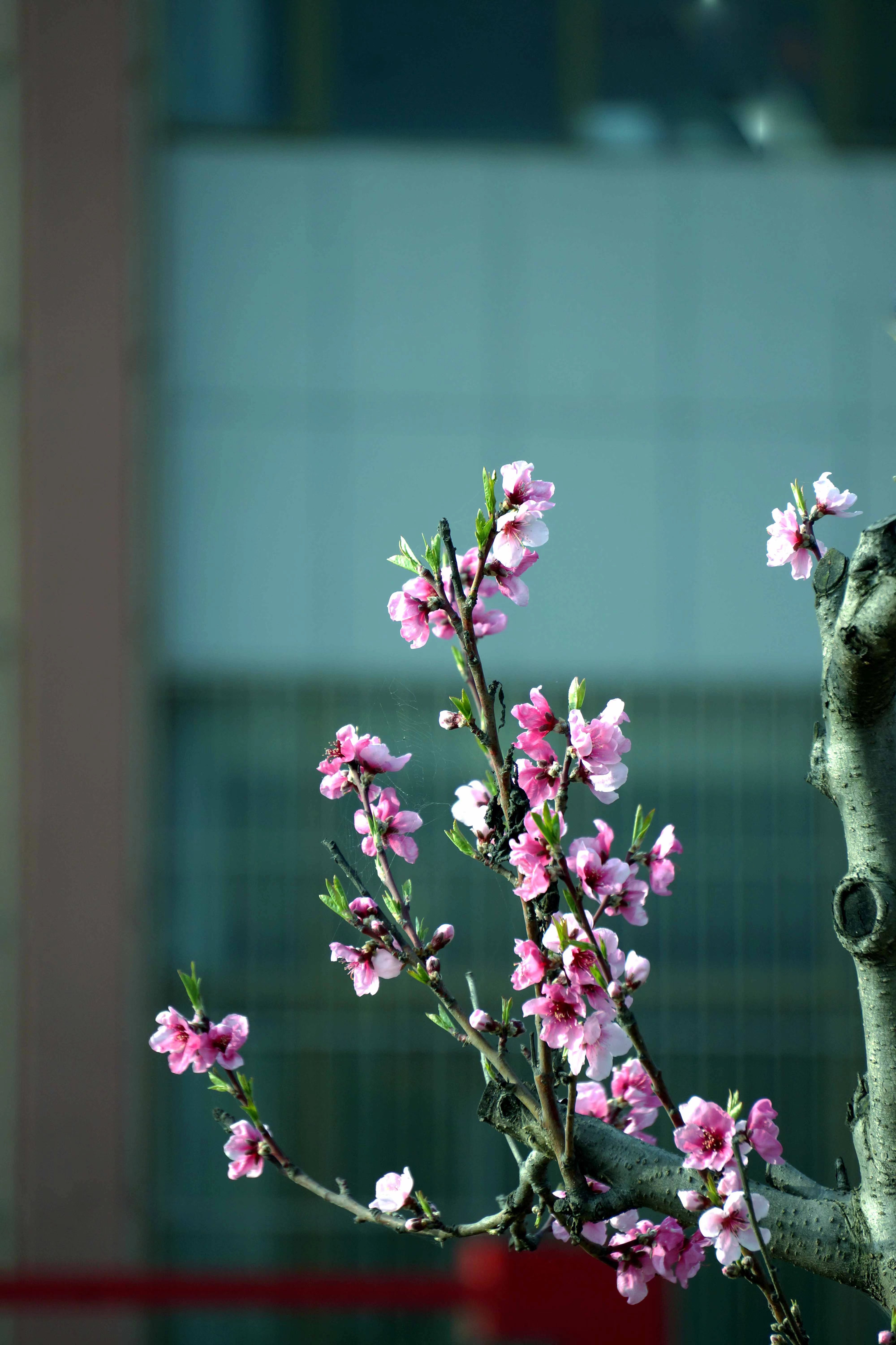 微信图片_20240320172904