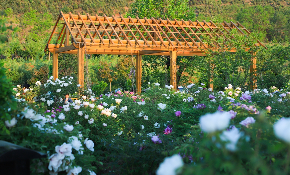 微信图片_202209271627221