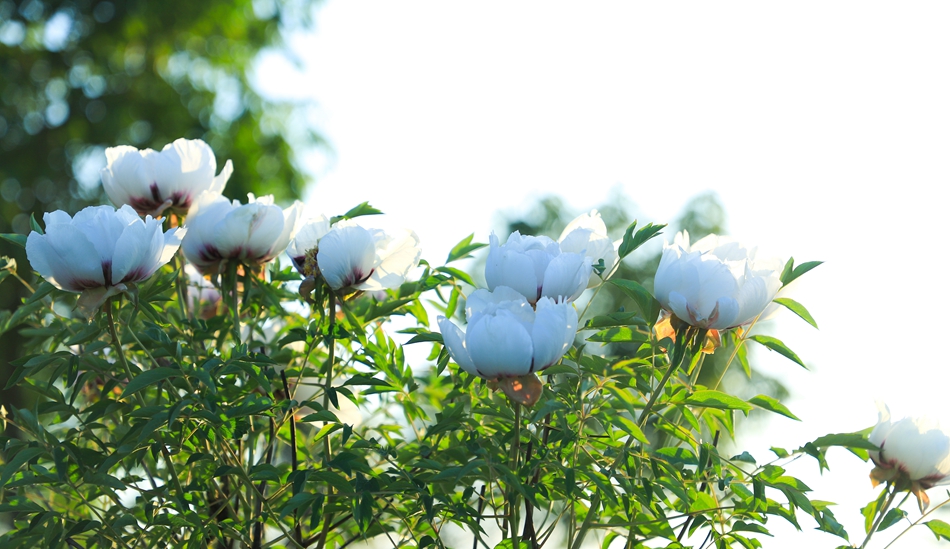 微信图片_202209271627222