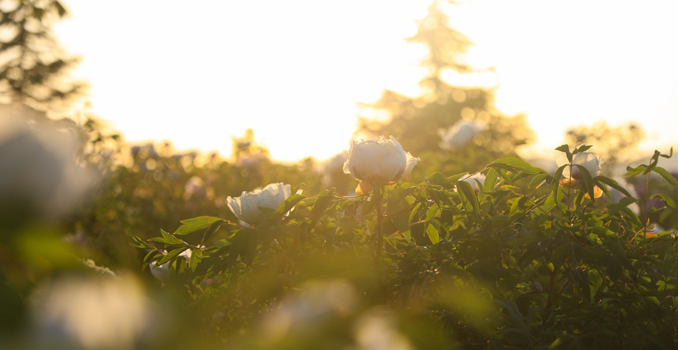 微信图片_202209271627223