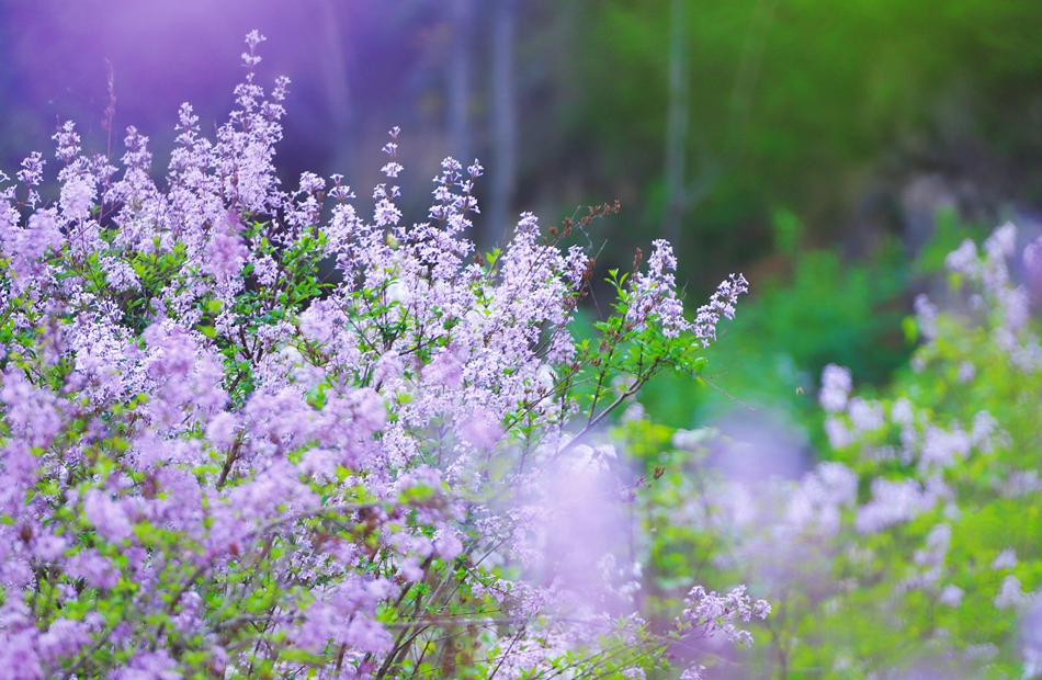 微信图片_202304280909161