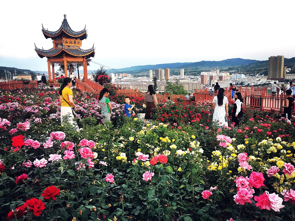 微信图片_20230627150608_副本