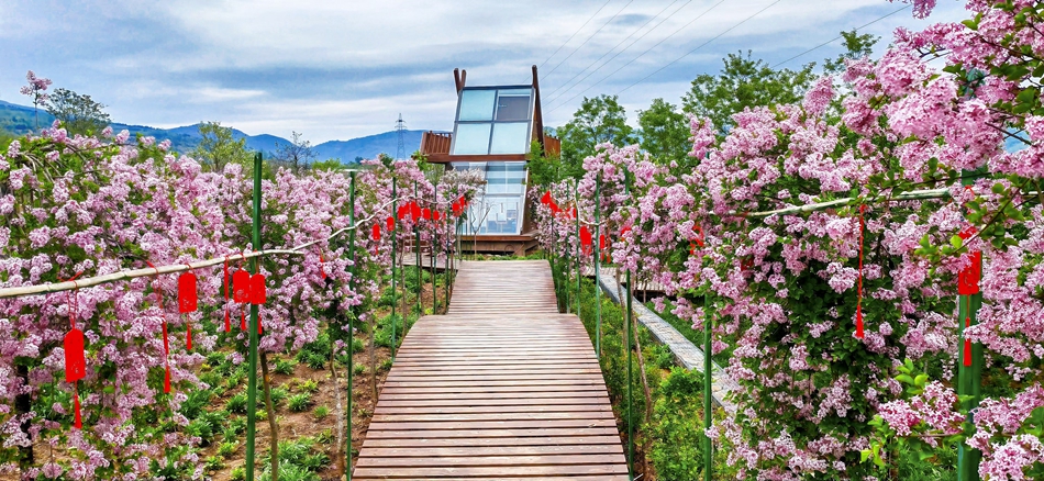 微信图片_20240502224549