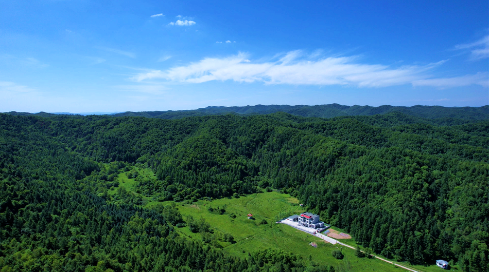 1686881485886086029 (1)