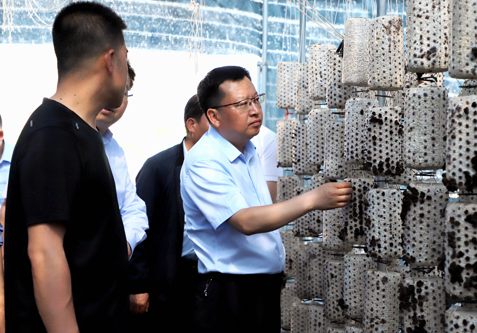 微信图片_20240522201423_副本