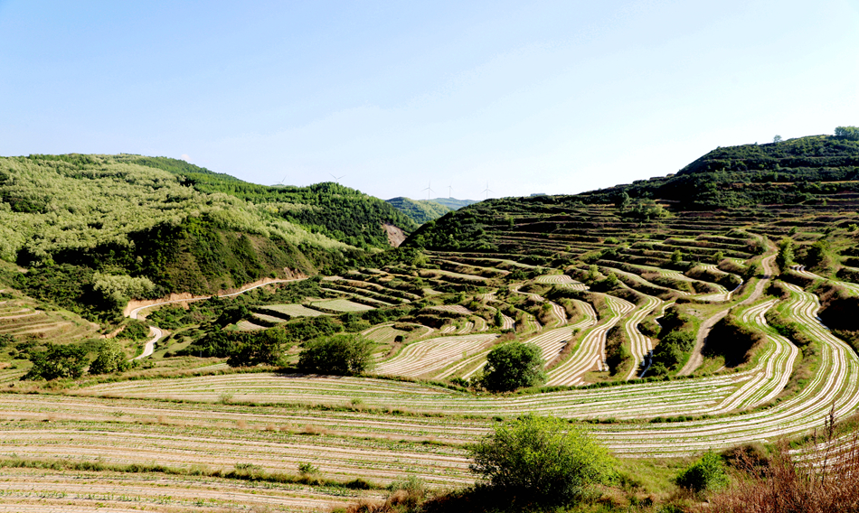 微信图片_20240522201431_副本