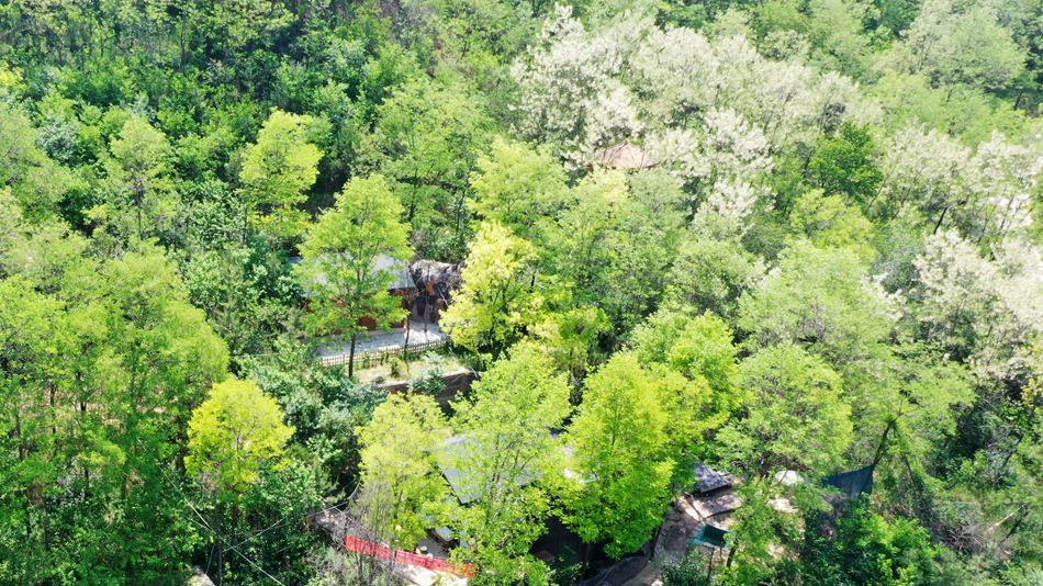 微信图片_20240523174530