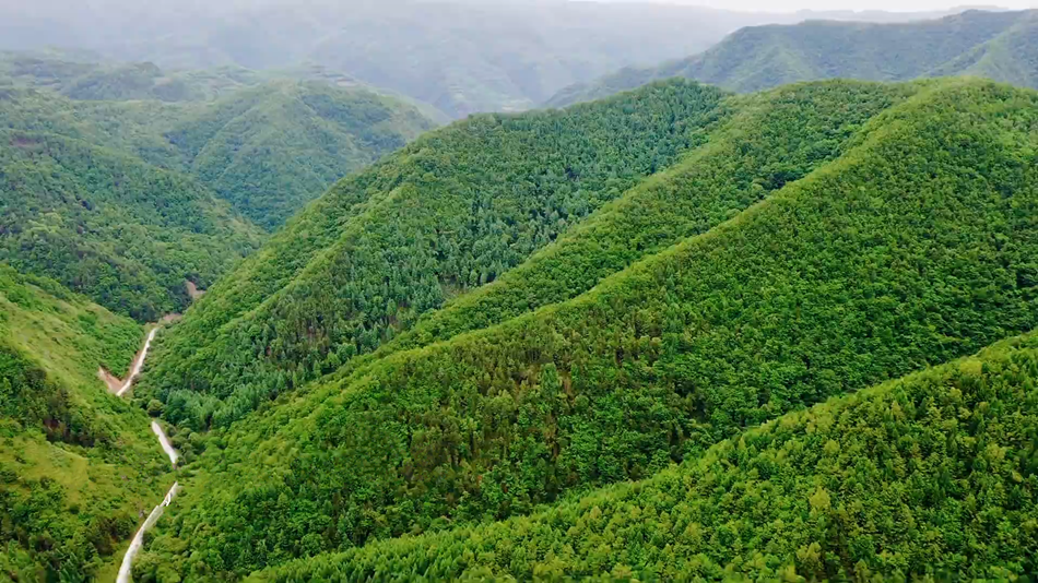 1c0d5722f8614cb7b983e01c0aadf279