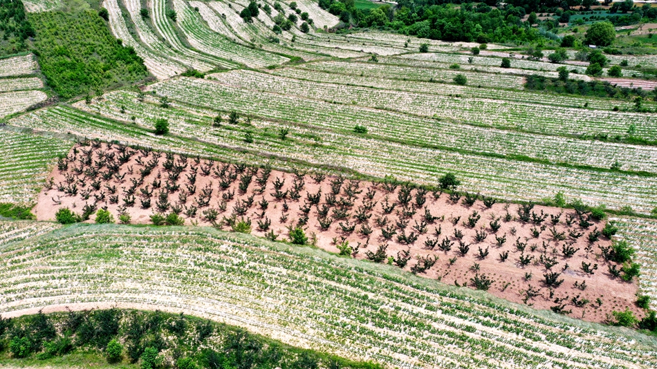 微信图片_20240613164421