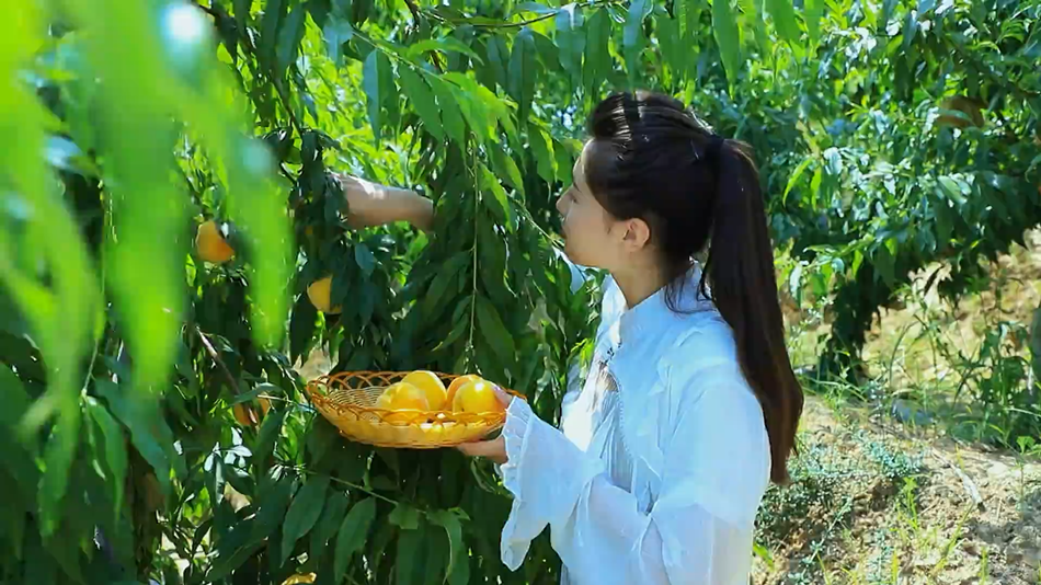 c67f772525454a05ac4e5d49ec072b76