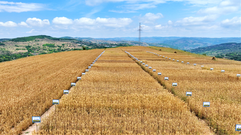 微信图片_20240619160740