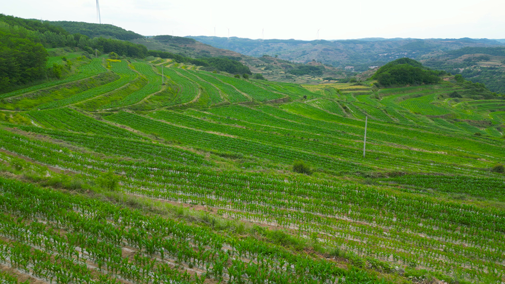 微信图片_20240621112247