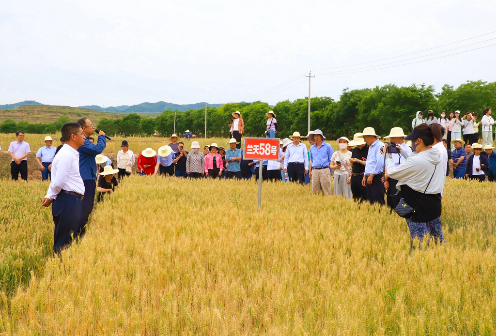 1720089311950034906.png 图片2.png