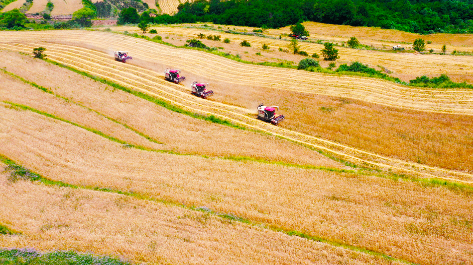 1720090207225067198.png 图片3.png