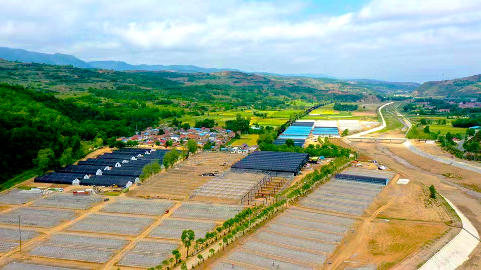 1720090552153076212.png 图片4.png