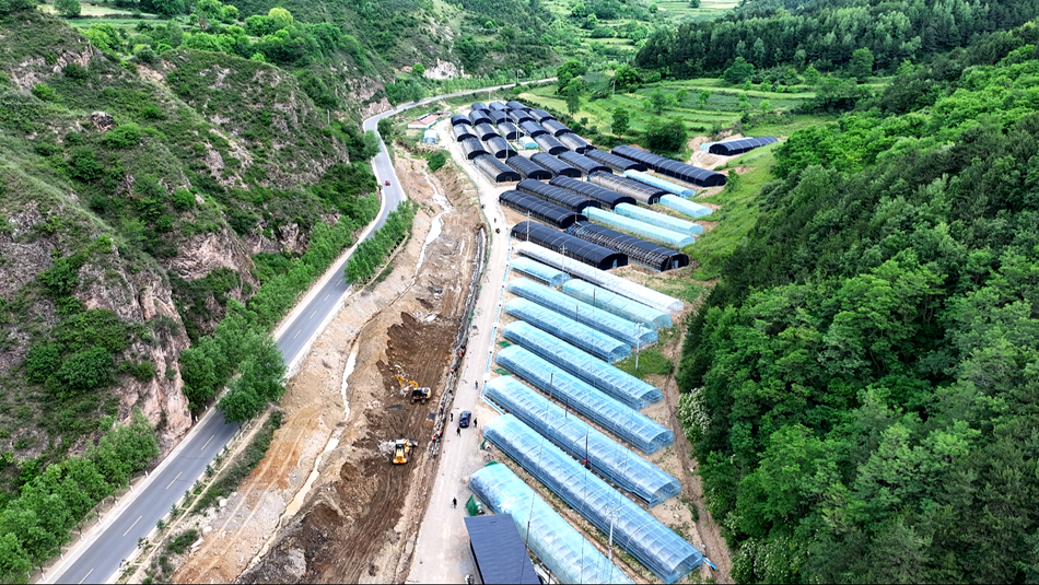 微信图片_20240621162132