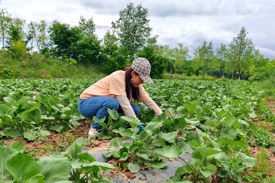 微信图片_20240621162236