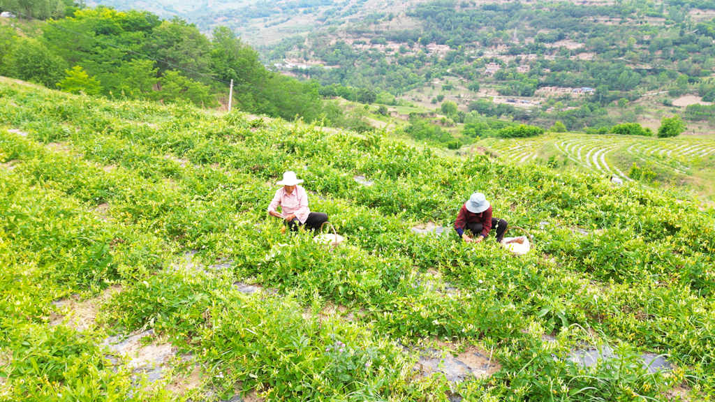 b221e9e3cf9094e8ea57699ffaedfa7