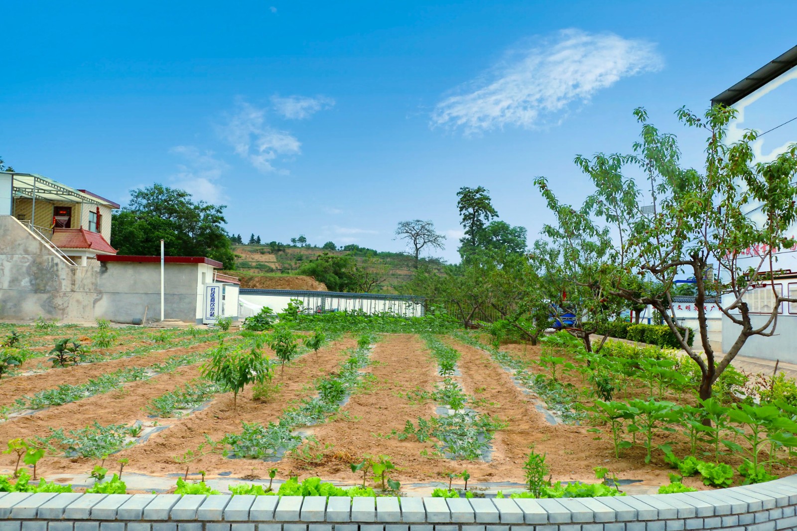 df9a6cc0826e80254a8a9d397f067ec