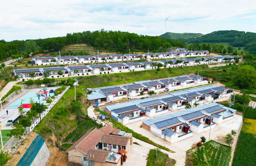 1720096540048046116.png image.png