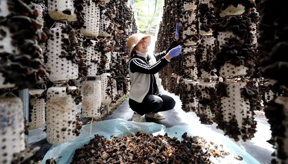 1720097780897066993.jpg f452d5781bb9b4ffb8788c584d3a214.jpg