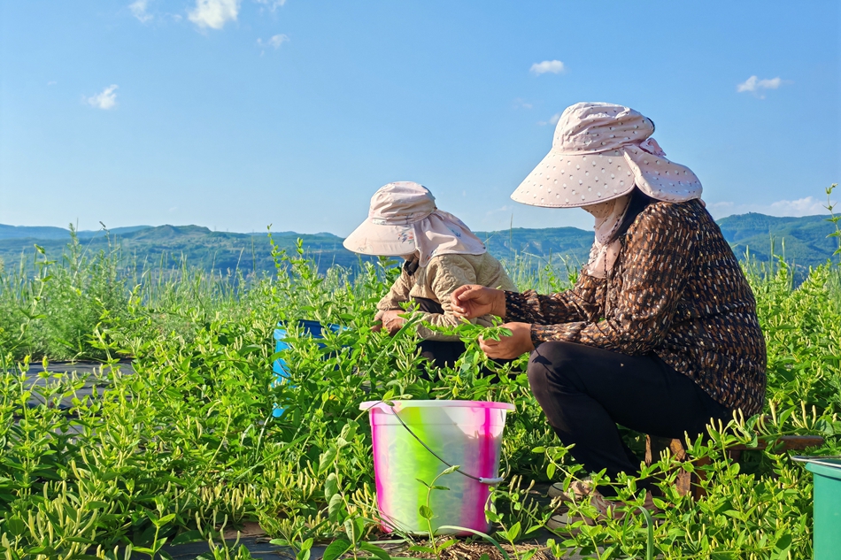 微信图片_20240605170729