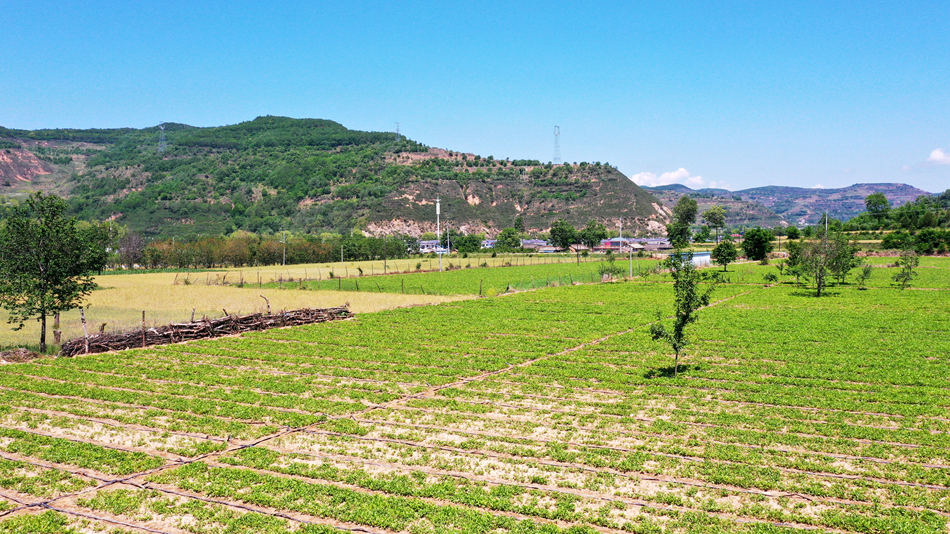 微信图片_20240606165550