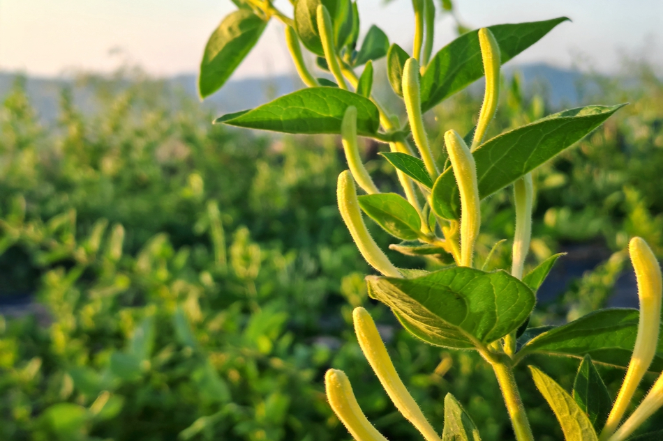 微信图片_20240605170717