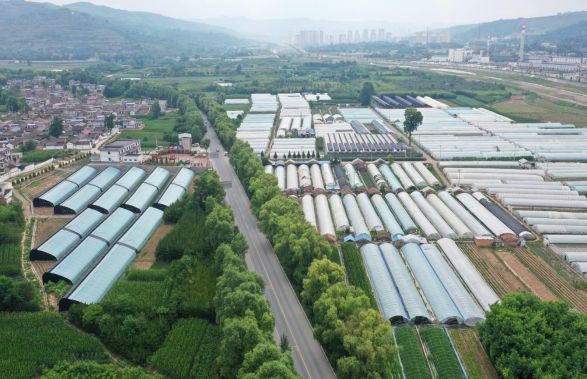 2.因地制宜、突出特色1