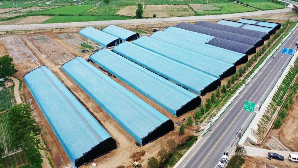 1720097708557045319.jpg 4619f622cfaa3c88dc08c574e5acb06.jpg