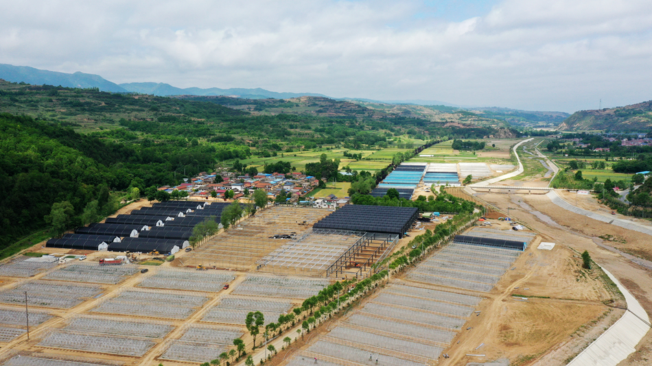赵沟村食用菌大棚建设项目1