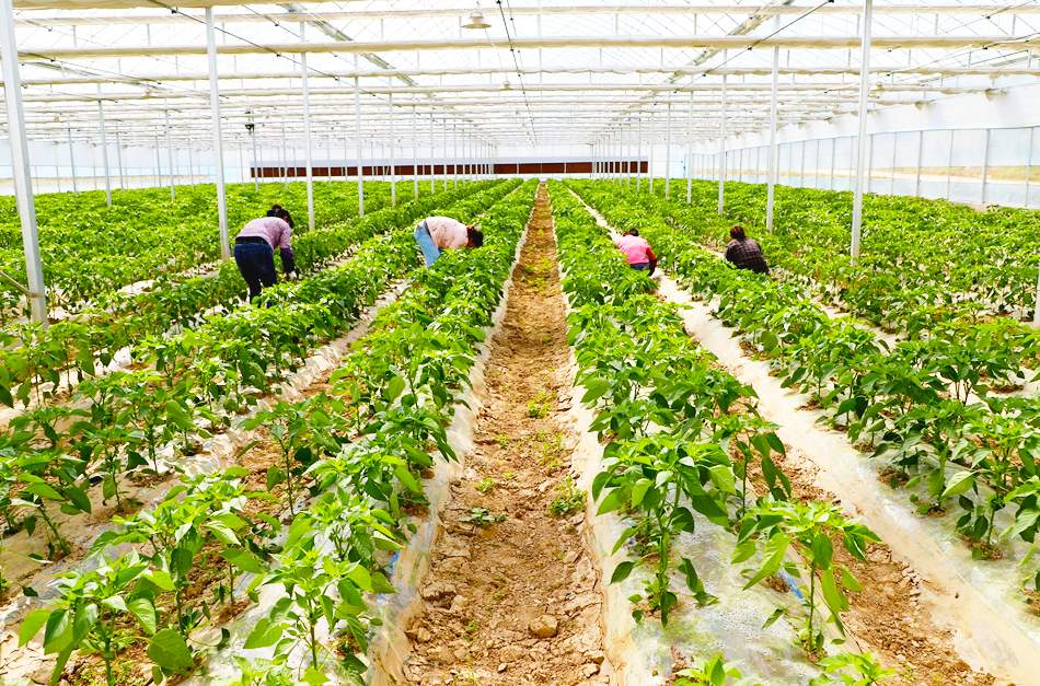 1720091273661033863.png 图片5.png