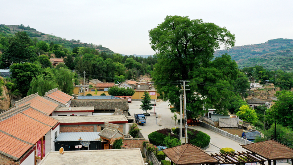 4a8fefaf51803ff417dbf238922f51d