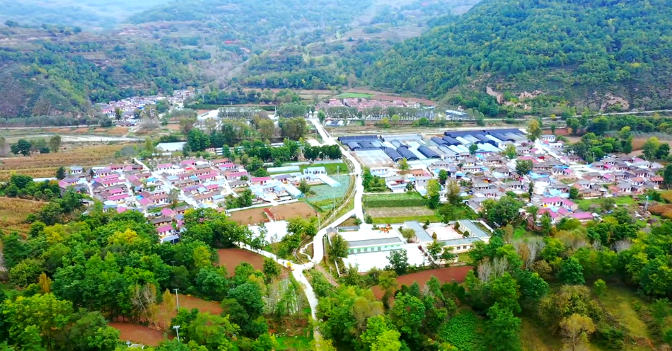 67ea48f3fdb5285eb98197774f112a2_副本