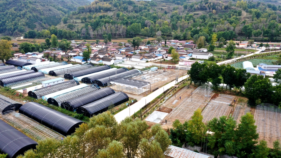 4aed6c6ab65254decf0d984bc964260