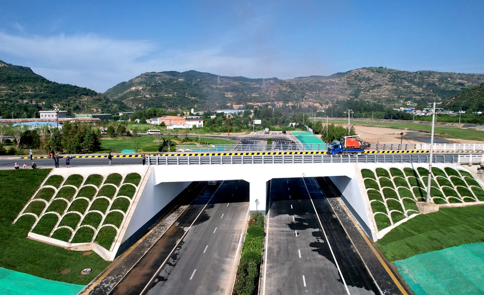 微信图片_20240629093446_副本