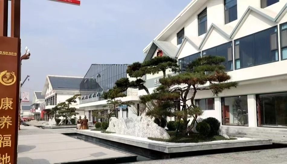 1699356117915037389.jpg 1699356117915037389.jpg