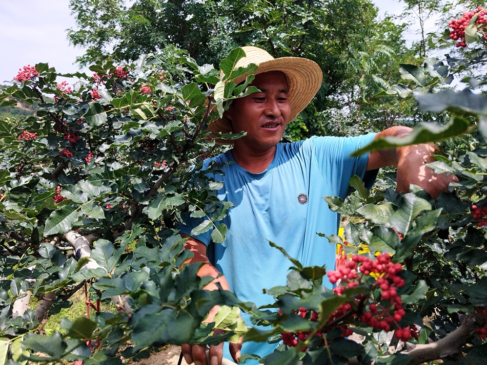 微信图片_20240808163251_副本