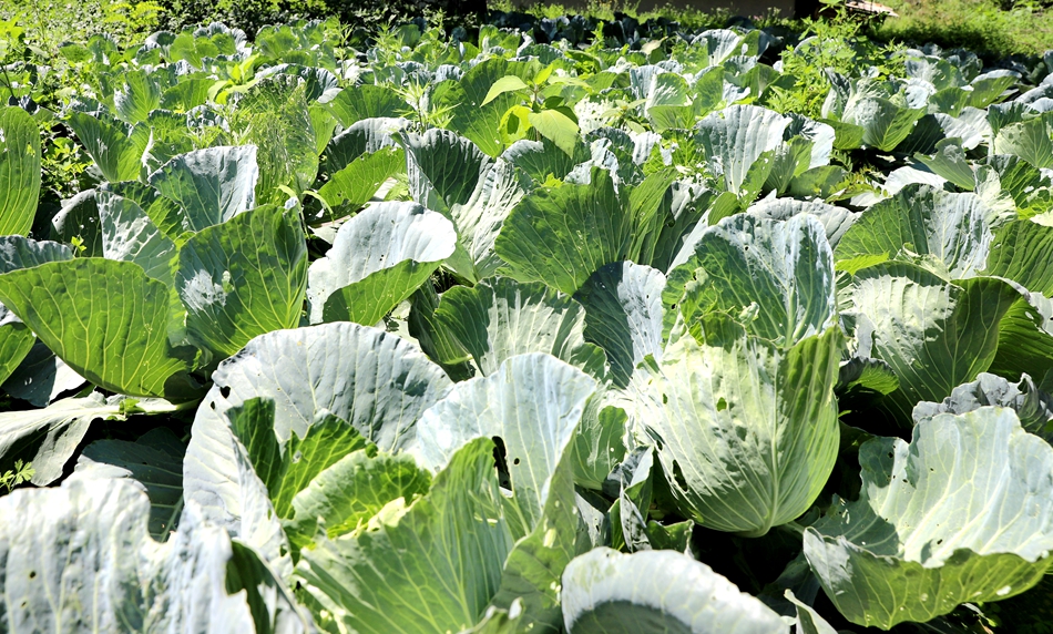 微信图片_20240814105944