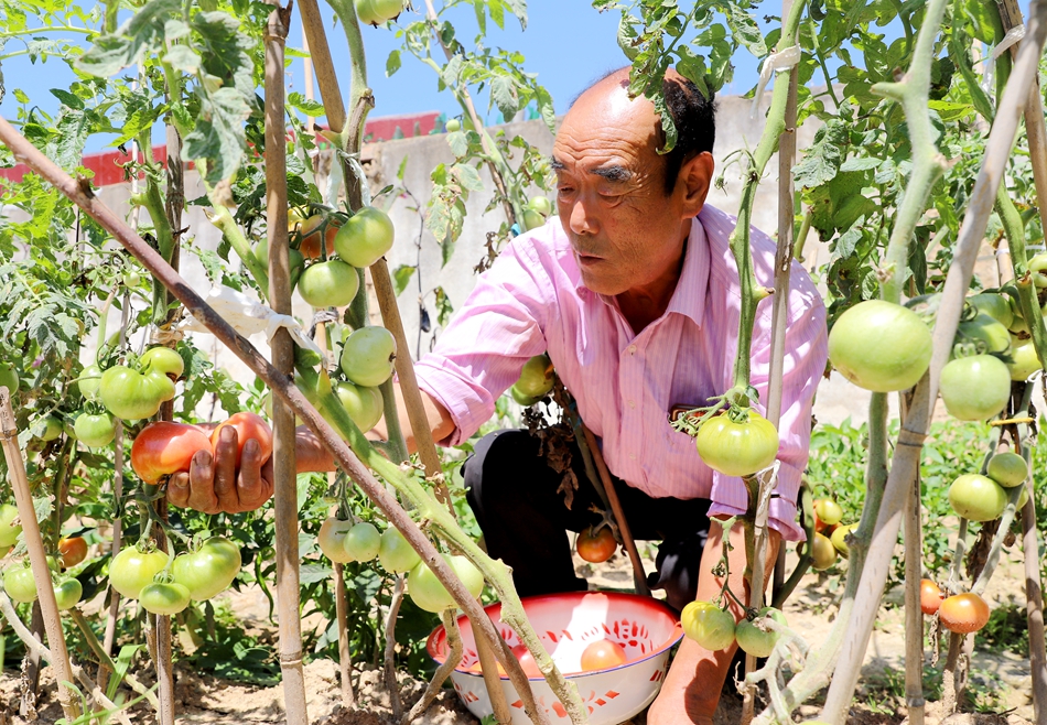 微信图片_20240814105947