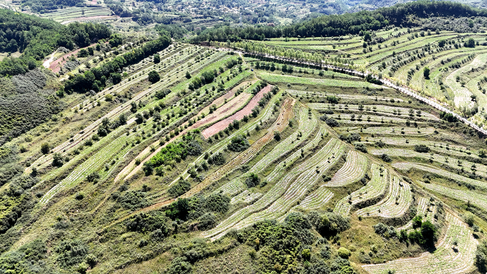 微信图片_20240814110810