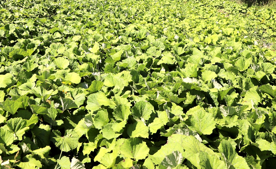 微信图片_20240814105942