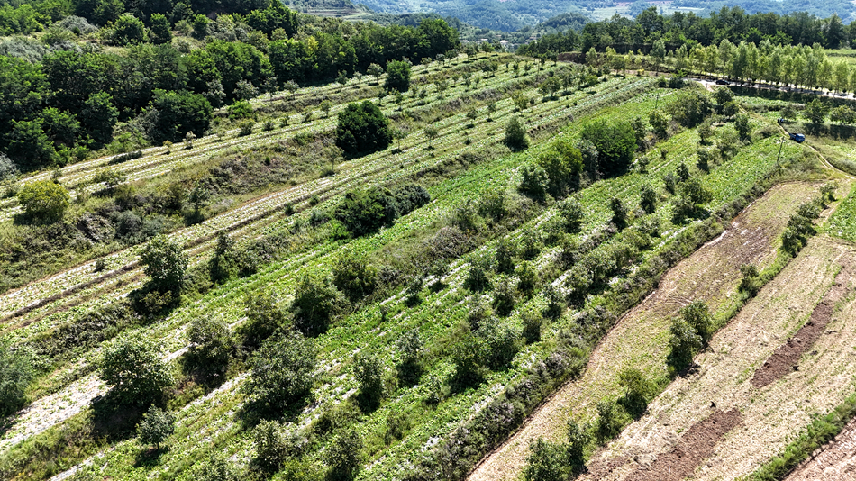 微信图片_20240814110820