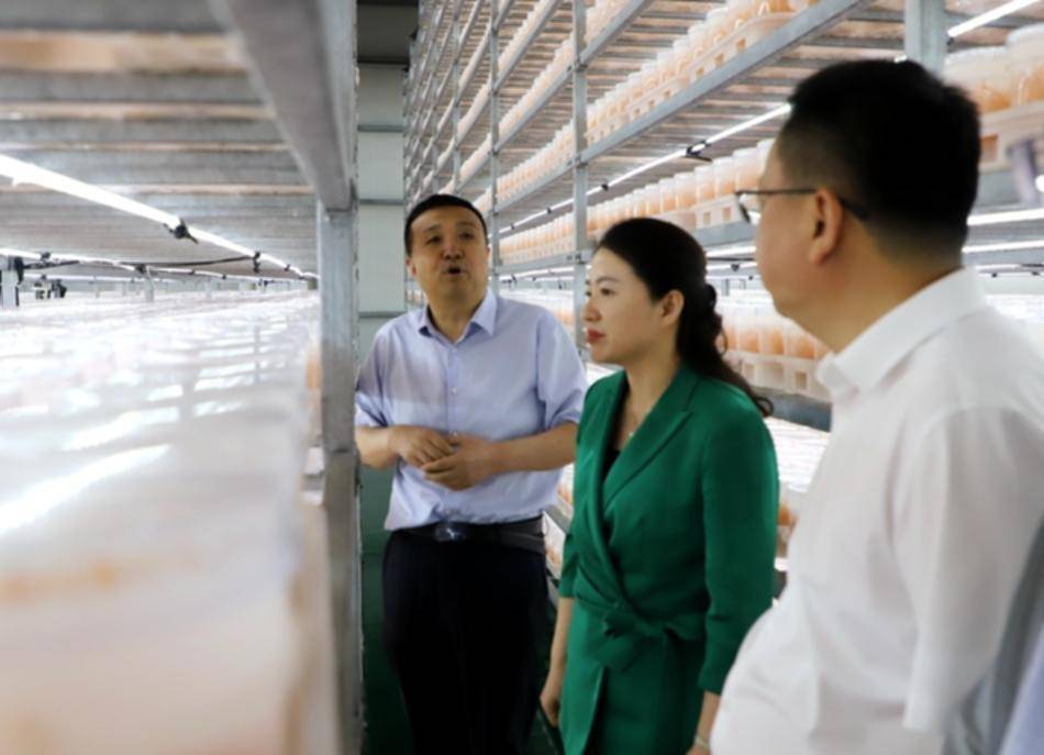 微信图片_20240816130213