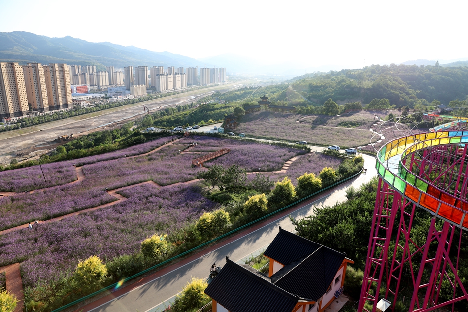 微信图片_20240828100039_副本