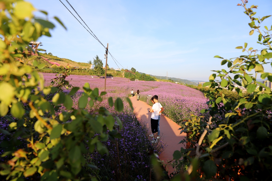微信图片_20240828100159_副本