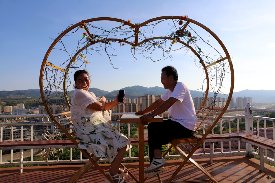 微信图片_20240828100019_副本